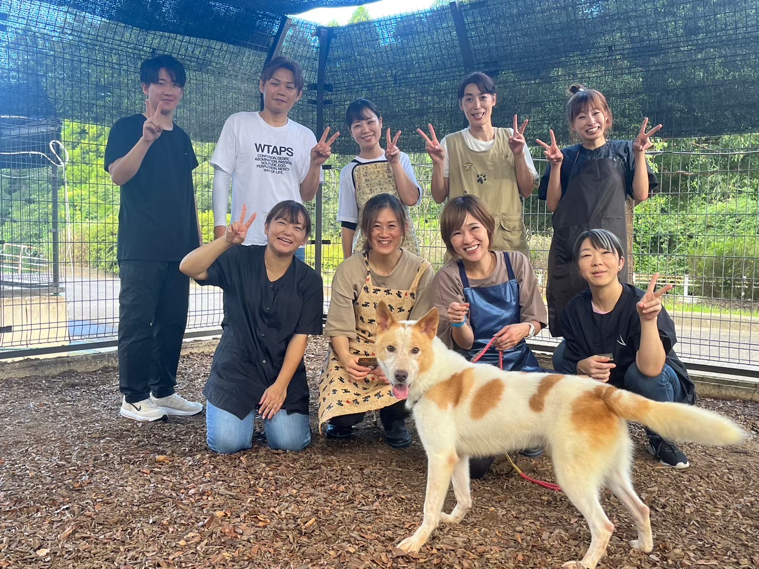 保護犬と子どもが寄り添う、保護団体の思いを象徴するイメージ